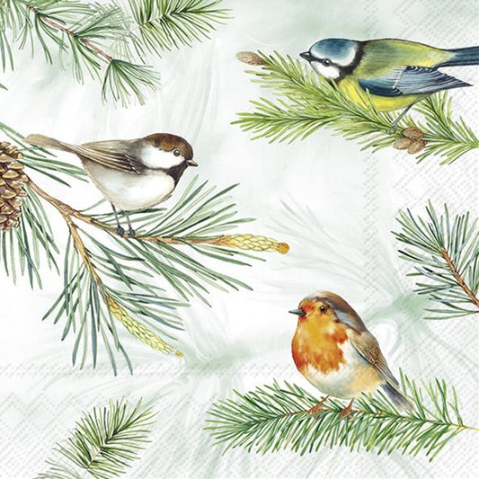 Charming Birds