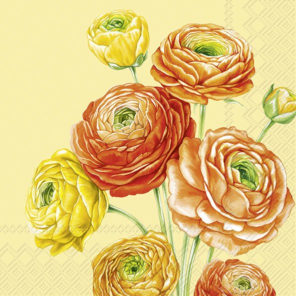 Ranunculus