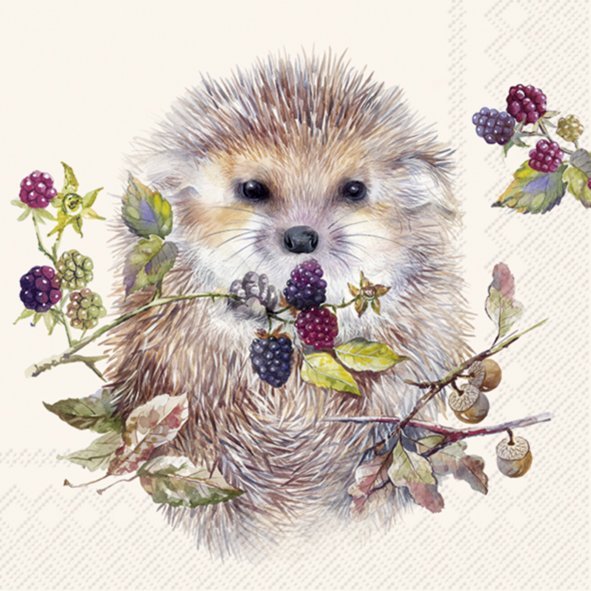 Forest Hedgehog