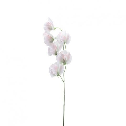 Vetch White