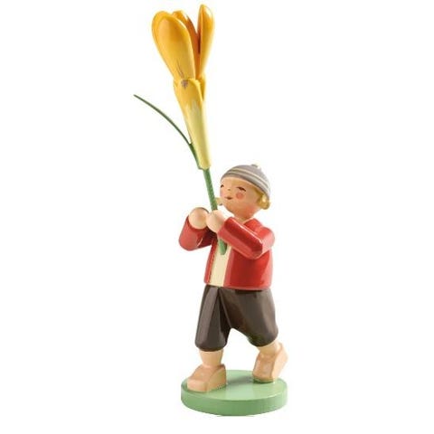 garçon avec crocus