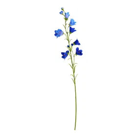 Glockenblume
