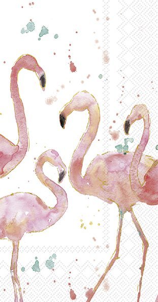 Flamingo Fever