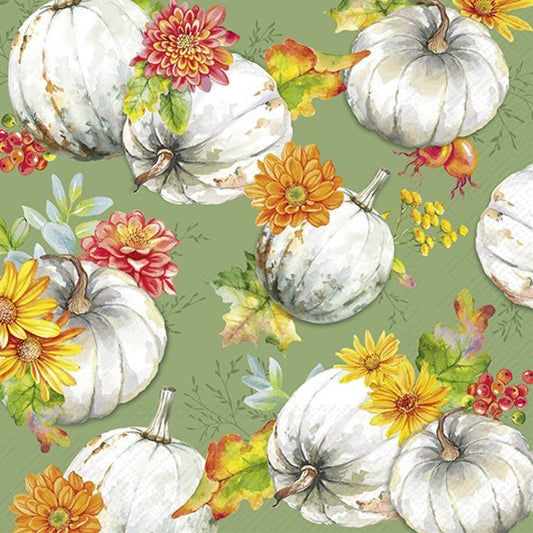 Cucurbita and Flowers