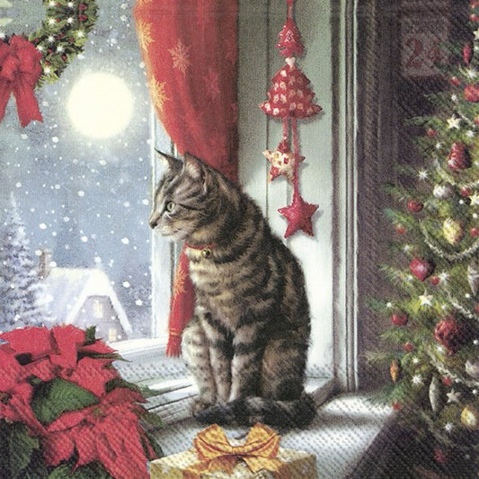 Silent Moment
