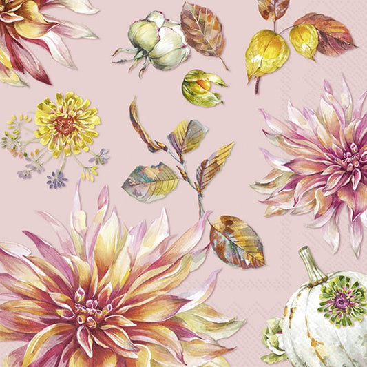 Dahlia Dream