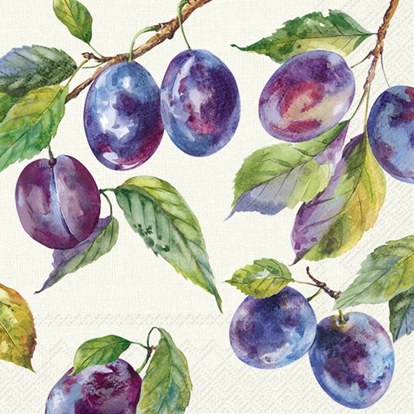 Home Grown Plums
