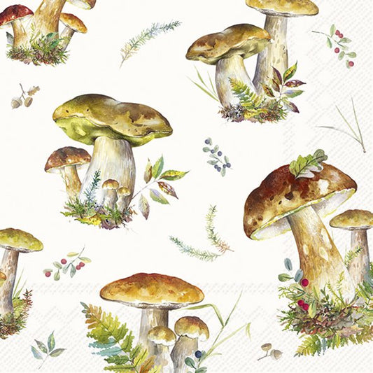 Mushroom Collection
