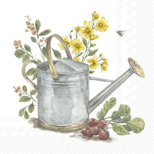 Garden Watering Can