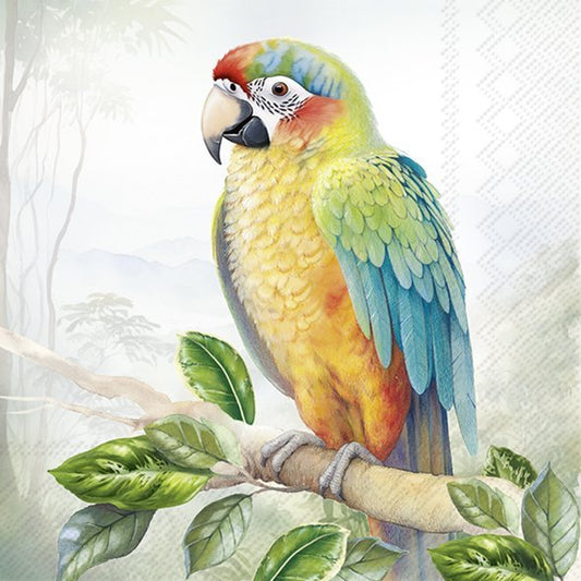 Exotic Parrot