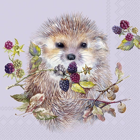 Forest Hedgehog