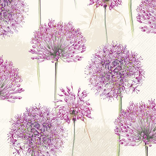 Allium