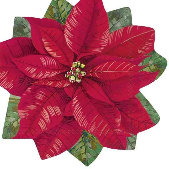 Elegant Poinsettia