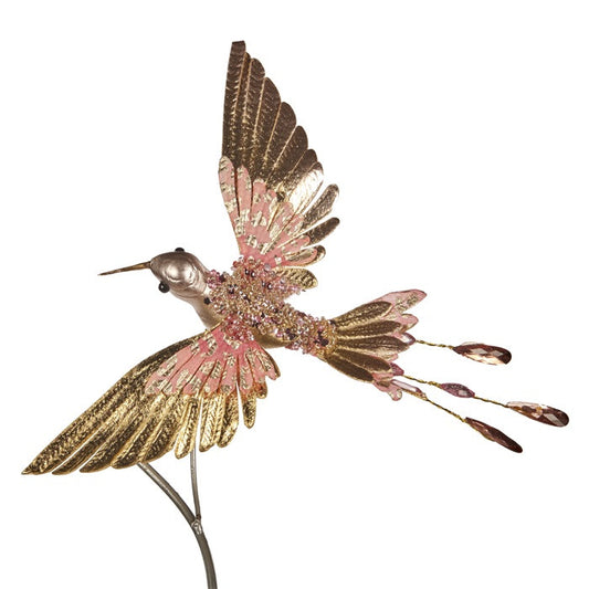 Kolibri Juwel