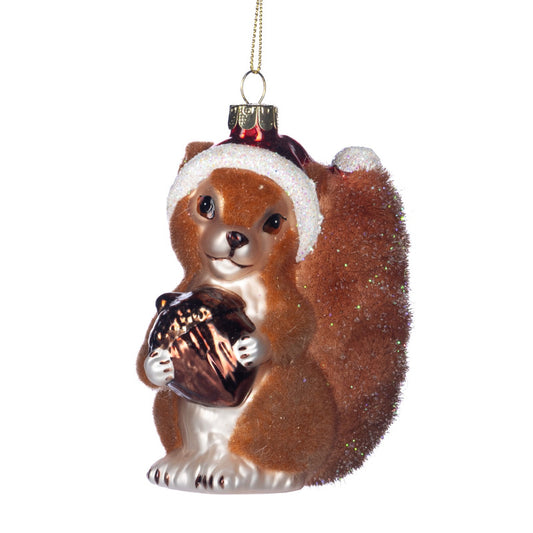 Eichhörnchen