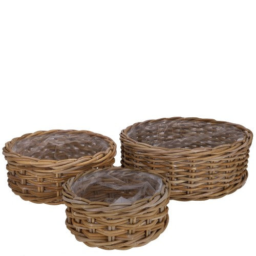 Plant baskets round