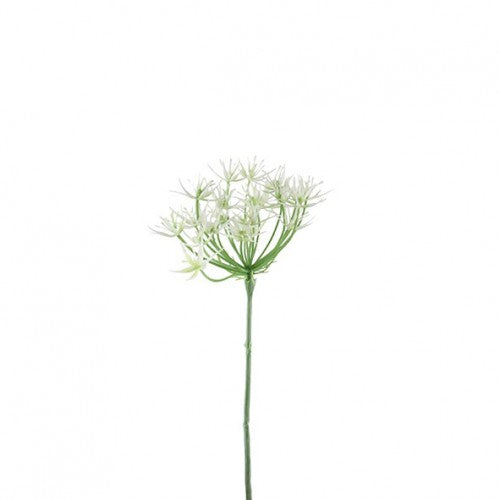 Pique Allium "Nalia"